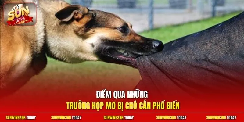 Nằm Mơ Bị Chó Cắn | Giải Mã Điềm Báo Chỉ Cặp Số Phát Tài 3 Sunwin Điểm qua những trường hợp mơ bị chó cắn phổ biến