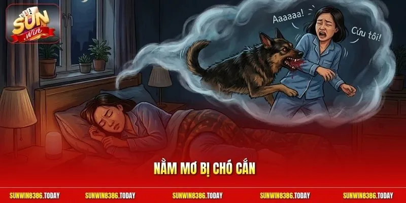 Nằm mơ bị chó cắn